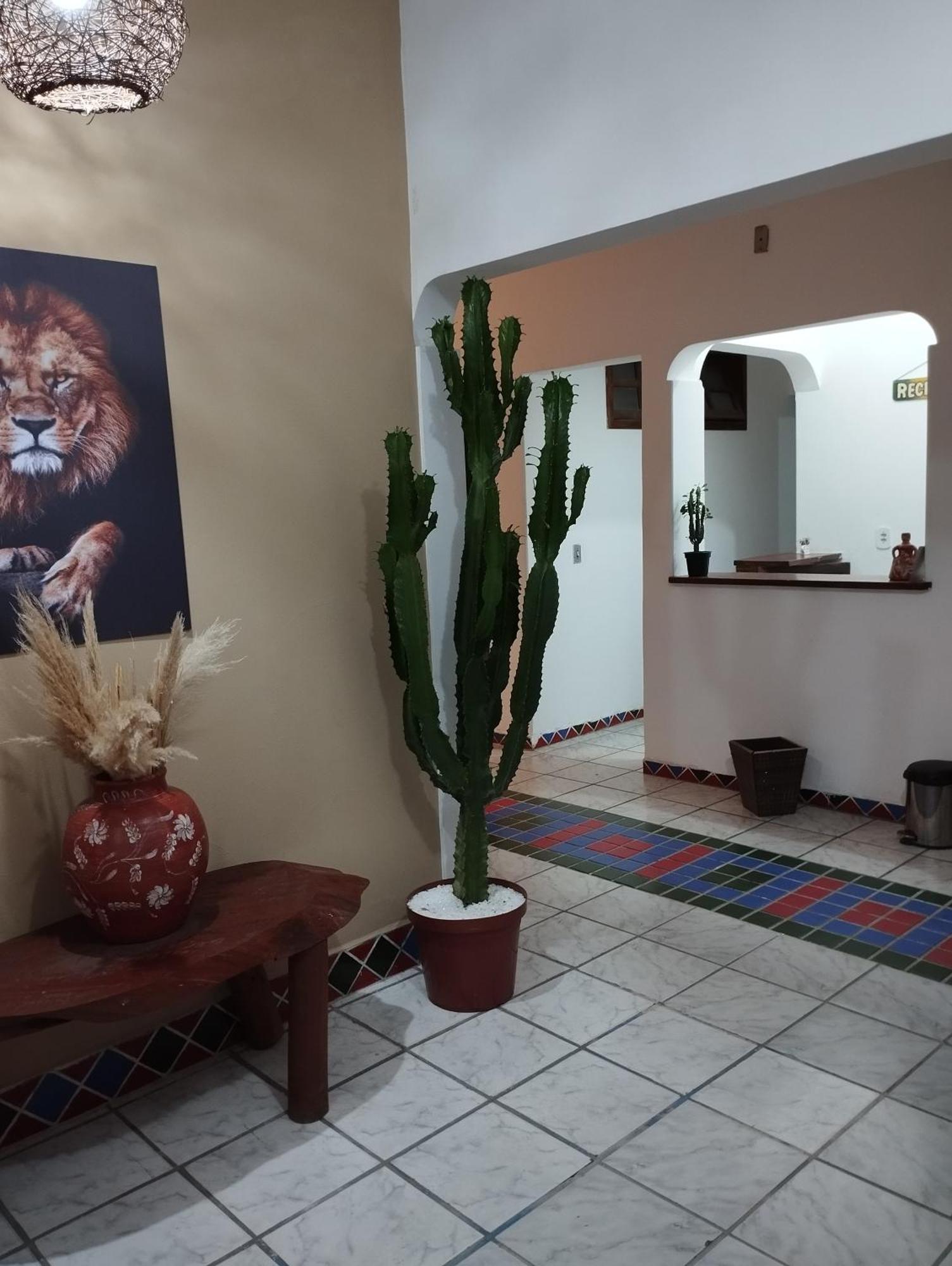 Pousada Ray Sol - Centro Arraial D Ajuda Πόρτο Σεγκούρο Εξωτερικό φωτογραφία